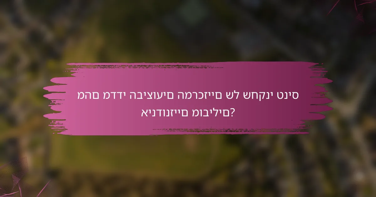 מהם מדדי הביצועים המרכזיים של שחקני טניס אינדונזיים מובילים?