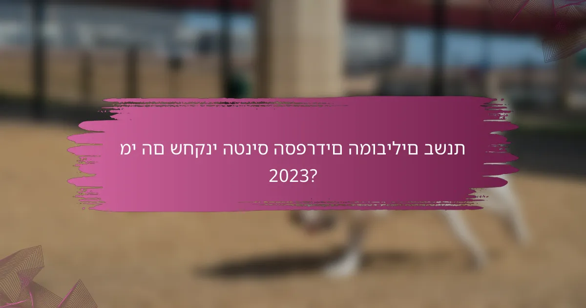 מי הם שחקני הטניס הספרדים המובילים בשנת 2023?